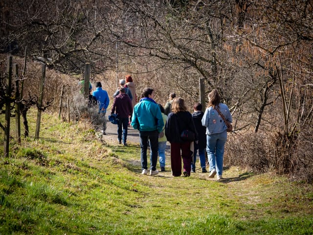 Schwäbischer Albverein