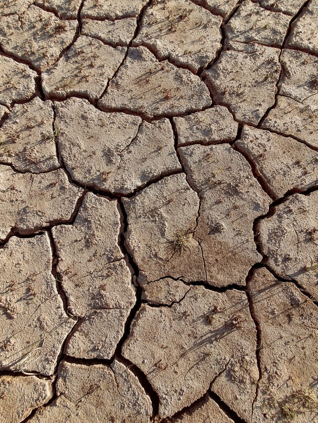 Hitzewellen und Extremwetter: Warum Klimaanpassung dringend notwendig sind