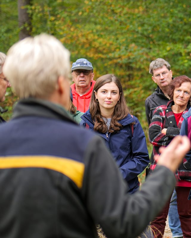 Waldspaziergang im Nürtinger Stadtwald: Wie geht es unserem Wald?